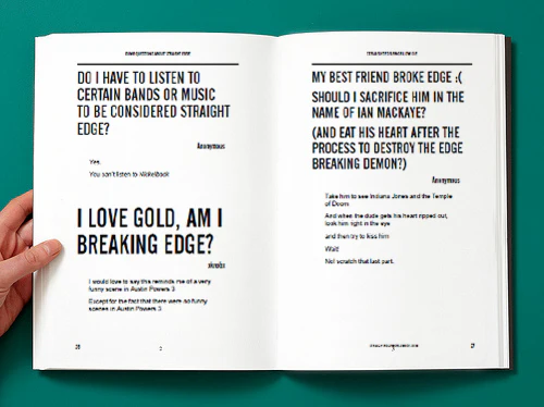 Dumb Questions About Straight Edge Vol. 1 - Image 6