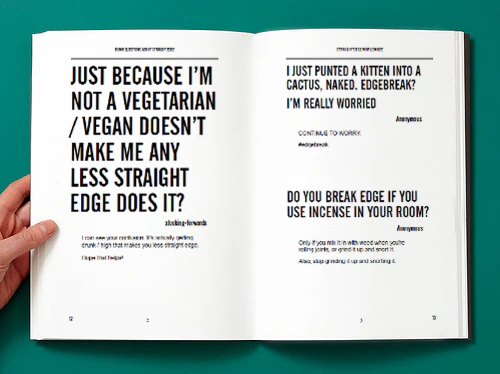 Dumb Questions About Straight Edge Vol. 1 - Image 7