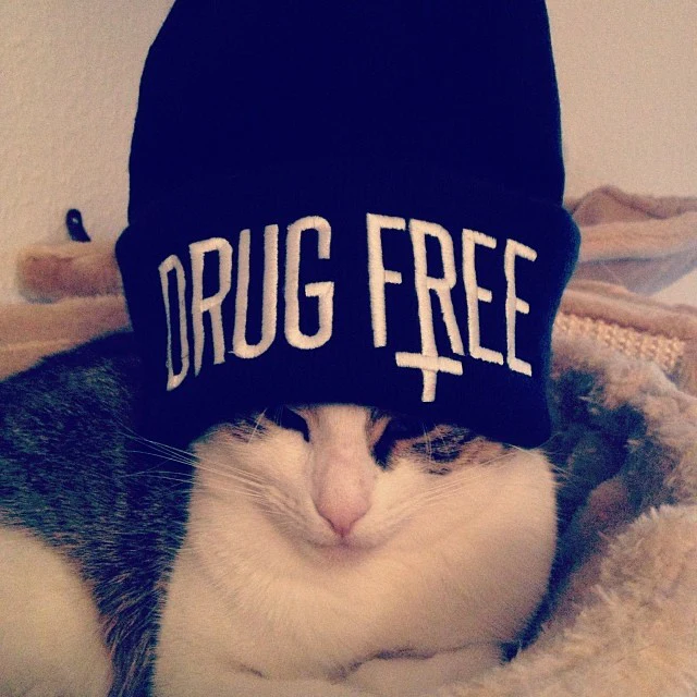 Drug Free Beanie - Image 4