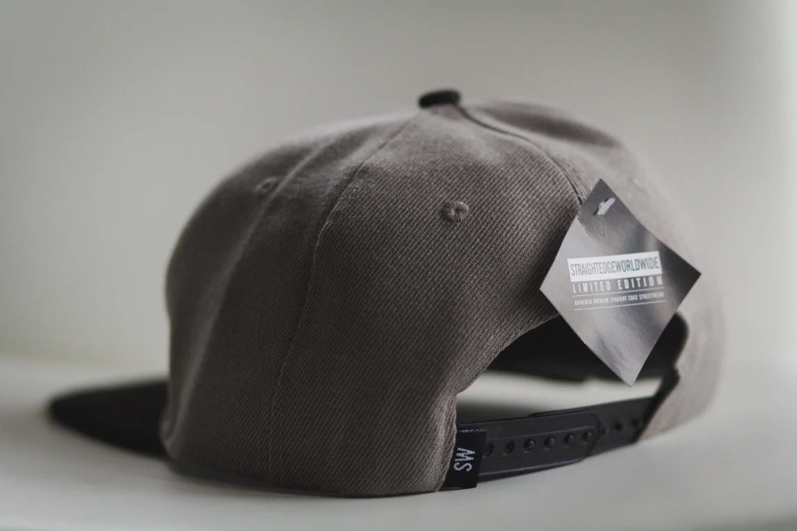 Drug Free Snapback in Gray - Image 4
