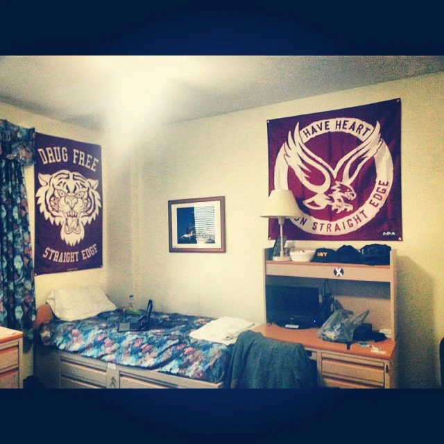 Drug Free Tiger Banner - Image 4