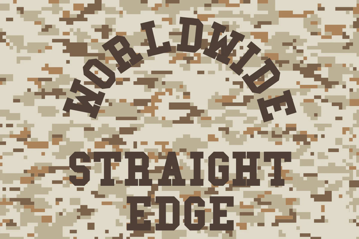 Ladies Desert Camo Windbreaker - Image 3