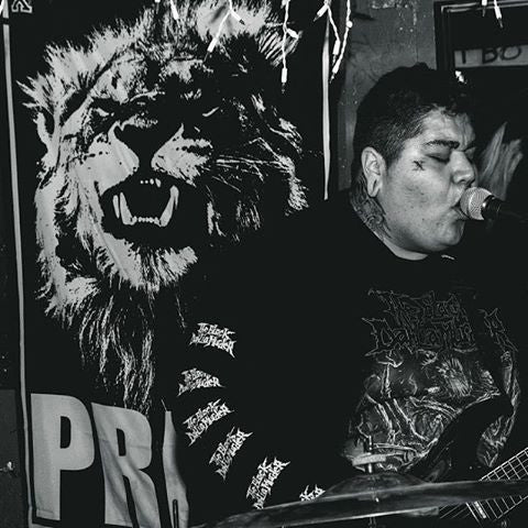 Lion Pride Banner - Image 3