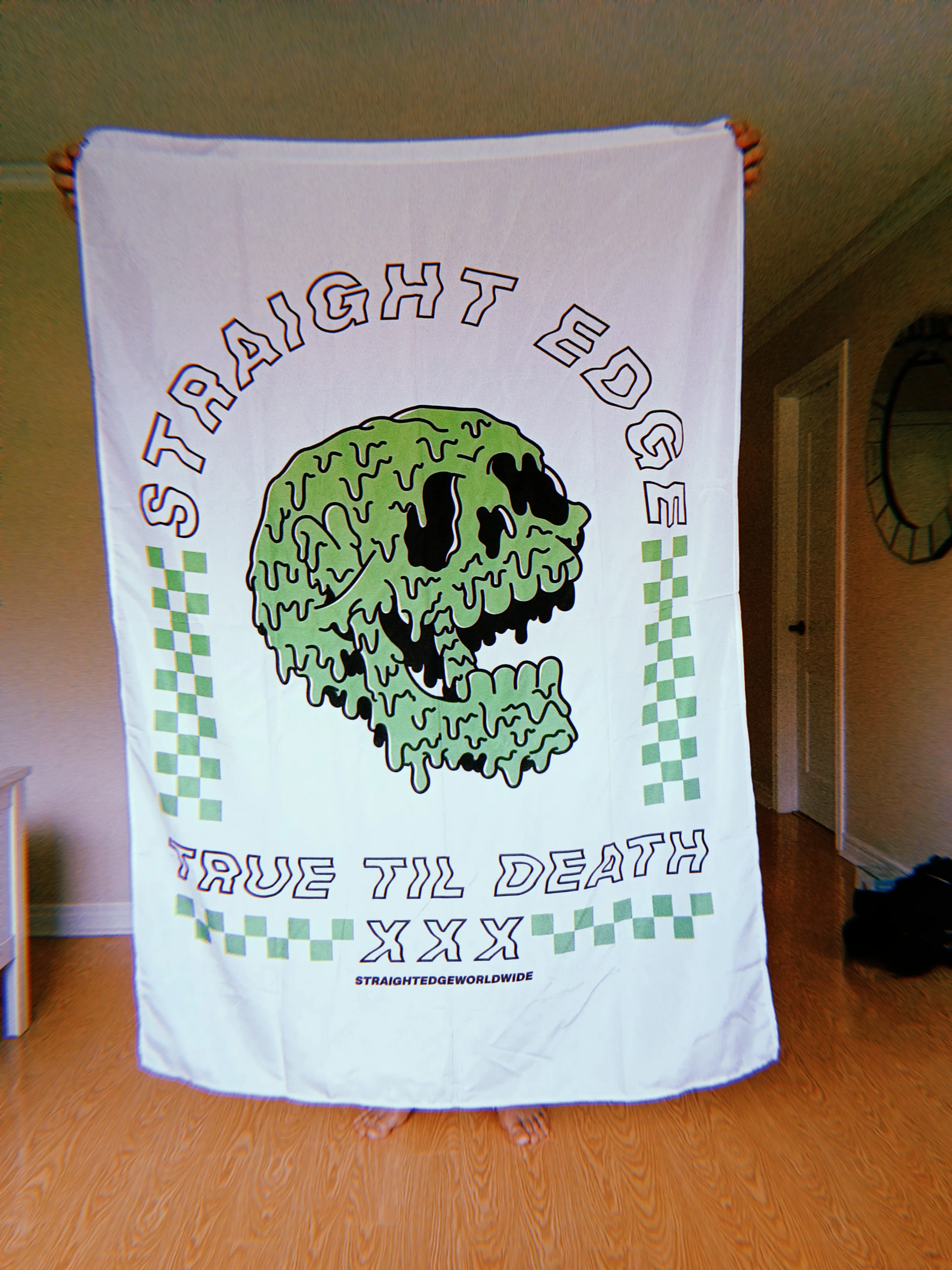 Straight Edge Skull Banners - Image 3