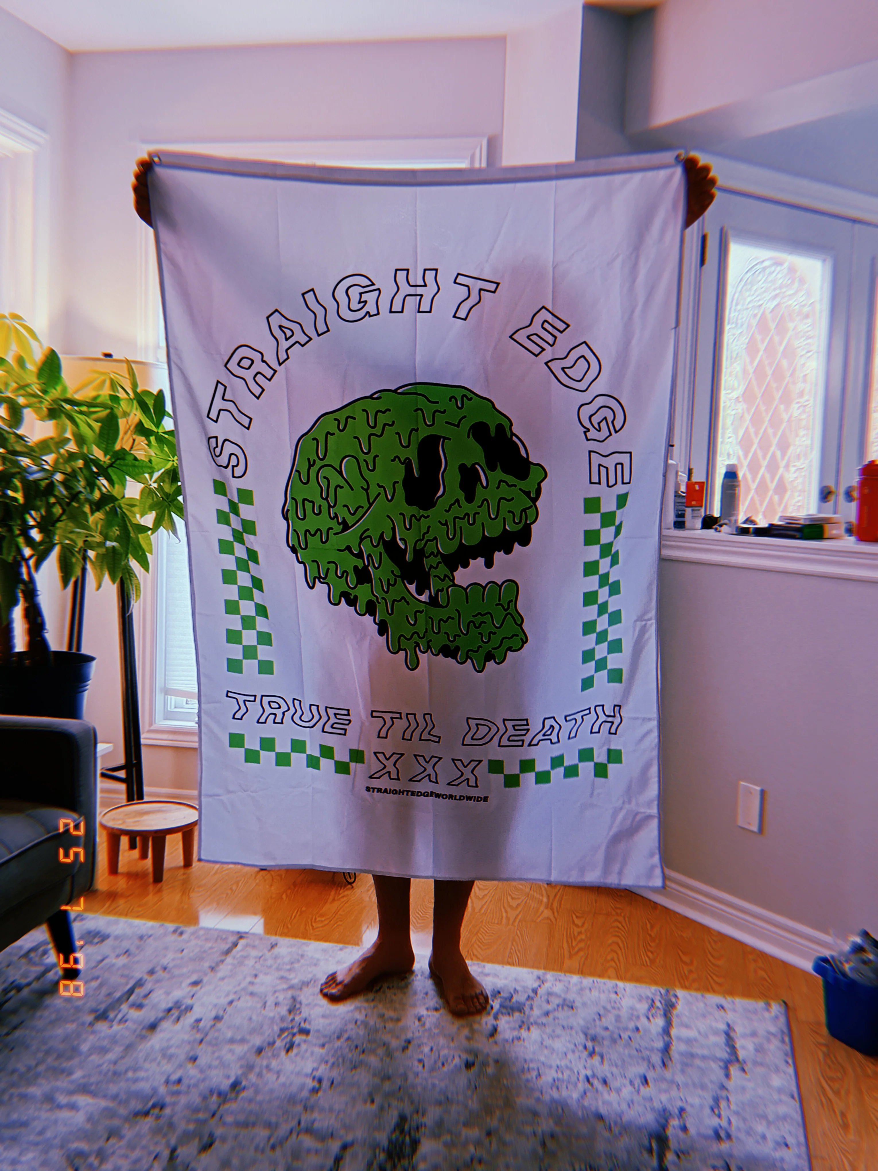 Straight Edge Skull Banners - Image 4