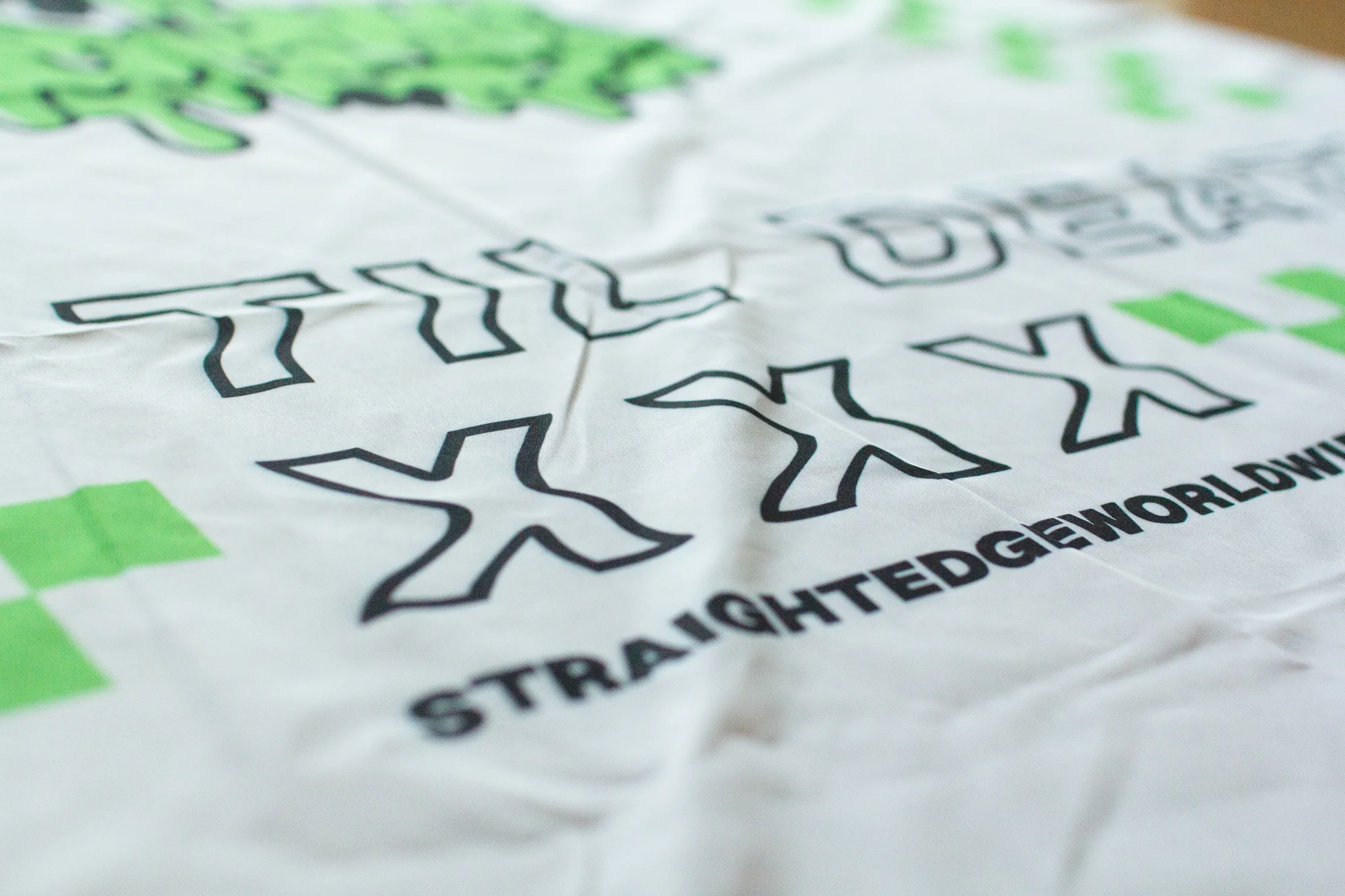 Straight Edge Skull Banners - Image 6